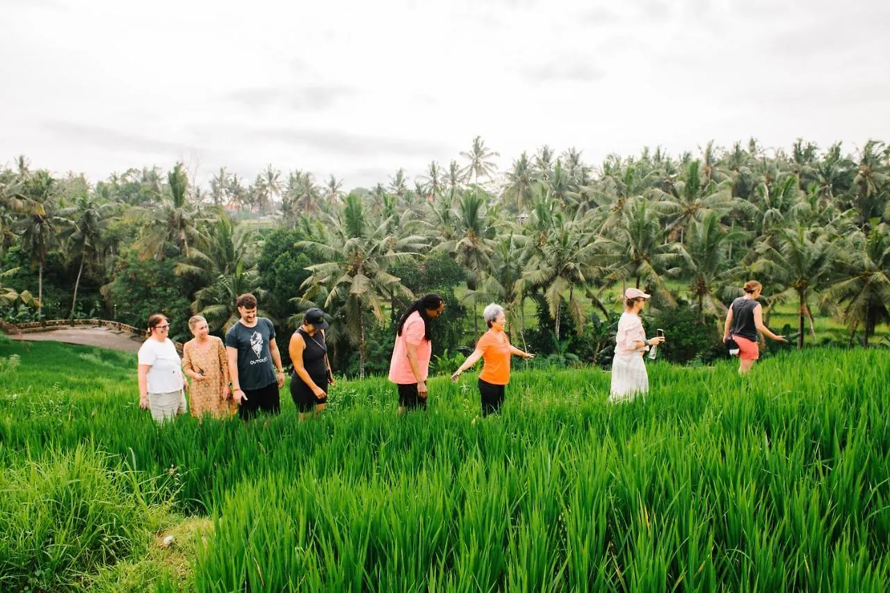 Soulshine Resort And Retreat Ubud   Ubud (Bali)