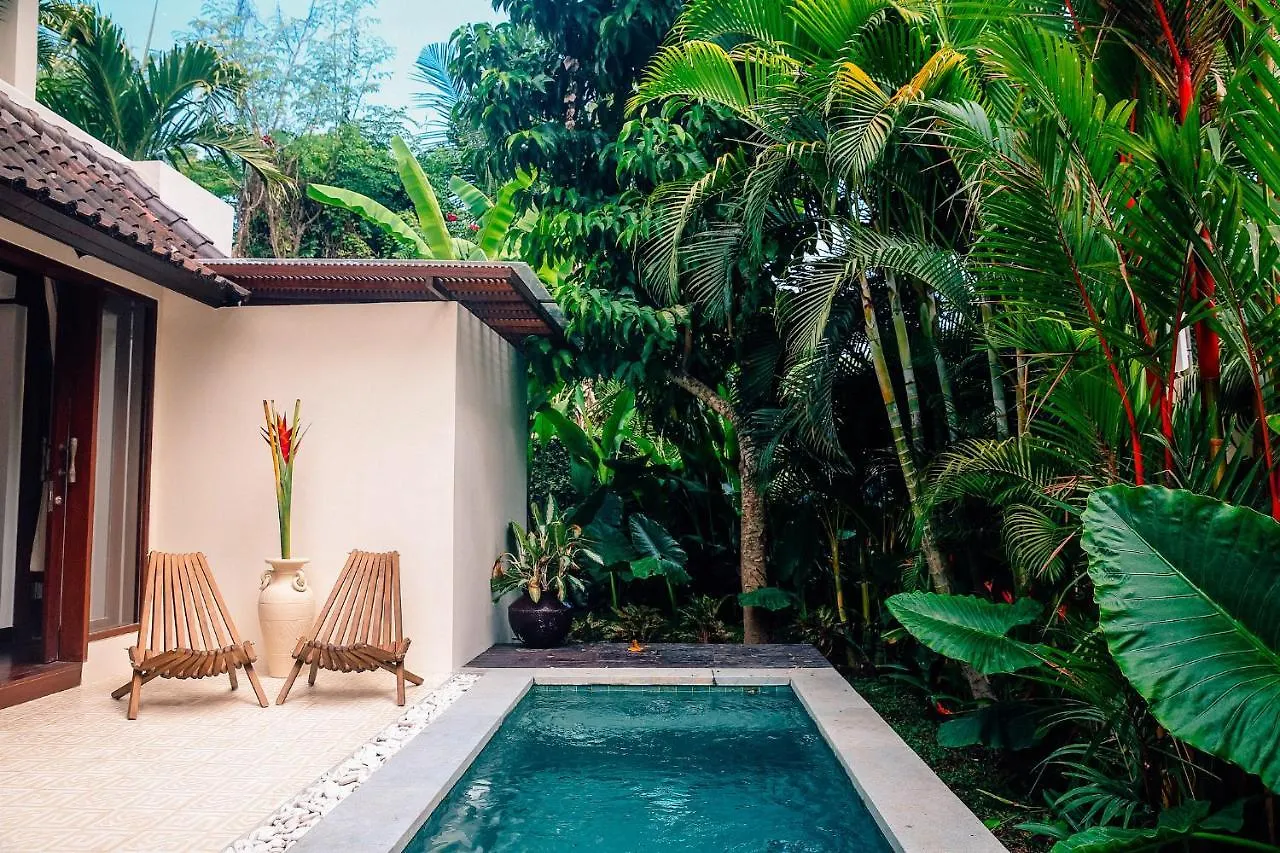 Soulshine Resort And Retreat Ubud   Ubud (Bali)