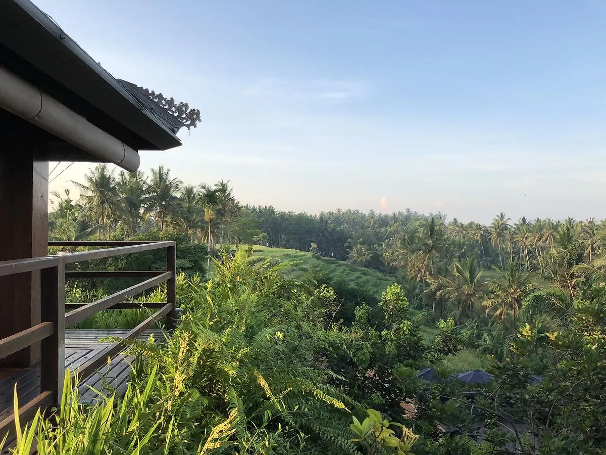 Soulshine Resort And Retreat Ubud  5*, Ubud (Bali) Indonesia